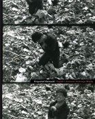 Polska książka : Popiół i d... - Krzysztof Kornacki