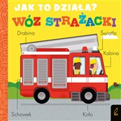 Polska książka : Jak to dzi... - Molly Littleboy