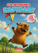Polska książka : Kolorowank... - Maciej Ratajczyk