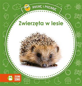 Picture of Rosnę i poznaję Zwierzęta w lesie