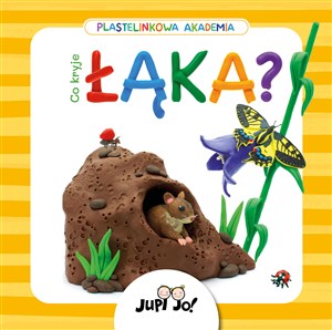 Obrazek Plastelinkowa akademia Co kryje łąka?