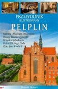 Przewodnik... - Wincenty Pytlik, Katarzyna Szroeder-Dowjat - Ksiegarnia w UK