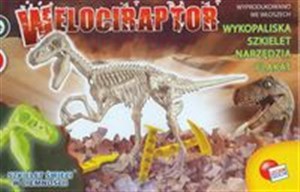Picture of Welociraptor Szkielet świeci w ciemności