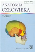 Anatomia c... - Johannes W. Rohen, Elke Lutjen-Drecoll -  foreign books in polish 