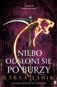 Obrazek Niebo odsłoni się po burzy