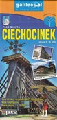 polish book : Ciechocine...