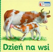 Zobacz : Dzień na w...