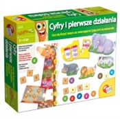 polish book : Cyfry i pi...