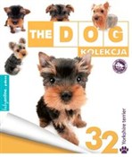 Yorkshire ... -  foreign books in polish 