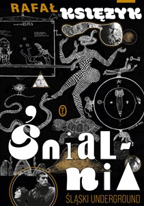 Obrazek Śnialnia Śląski underground