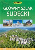 Główny Szl... - Waldemar Brygier -  foreign books in polish 