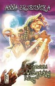 Opowieści ... - Anna Brzezińska -  Książka z wysyłką do UK