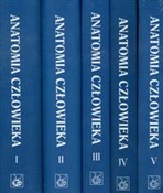 Polska książka : Anatomia c... - Adam Bochenek, Michał Reicher