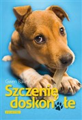 Szczenię d... - Gwen Bailey -  books in polish 