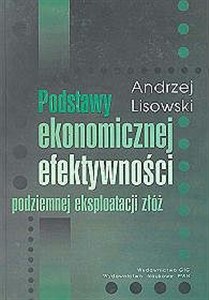 Obrazek Podstawy ekonomicznej efektywności podziemnej eksploatacji złóż