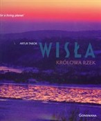 Wisła Król... -  Polish Bookstore 