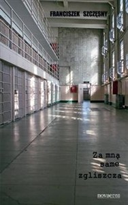 Obrazek Za mną same zgliszcza