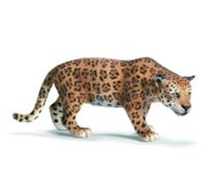 Picture of Jaguar