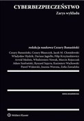 polish book : Cyberbezpi... - Cezary Banasiński