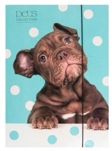 Picture of Teczka A4 z gumką Pets-16