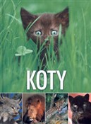 Polska książka : Koty - Opracowanie Zbiorowe