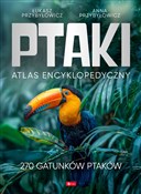 Ptaki Atla... - Anna Przybyłowicz, Łukasz Przybyłowicz -  books from Poland