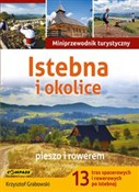 Polska książka : Istebna i ... - Krzysztof Grabowski