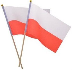 Picture of Materiałowa flaga na patyczku (2szt)