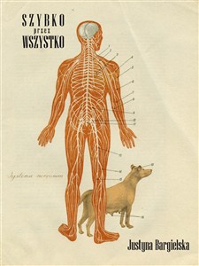 Obrazek Szybko przez wszystko