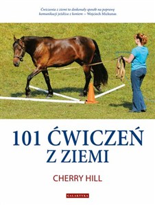 Obrazek 101 ćwiczeń z ziemi
