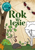 Książka : Rok w lesi... - Kinga Kulawiecka
