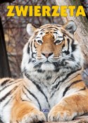 Zwierzęta - Opracowanie Zbiorowe -  foreign books in polish 