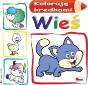 Koloruję k... - Mirosława Kwiecińska - Ksiegarnia w UK