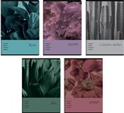 Zeszyt A5/... -  foreign books in polish 