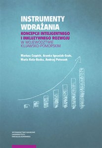 Picture of Instrumenty wdrażania koncepcji inteligentnego i inkluzywnego rozwoju w województwie kujawsko-pomorskim