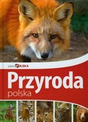 Piękna Pol... -  foreign books in polish 