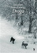 Książka : Droga Proz... - Jarosław Iwaszkiewicz