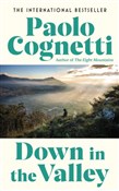 Down in th... - Paolo Cognetti -  books in polish 