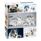 polish book : Segregator...