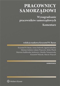 Obrazek Pracownicy samorządowi. Wynagradzanie pracowników
