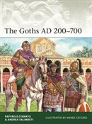 polish book : The Goths,... - Raffaele D’Amato, Andrea Salimbeti