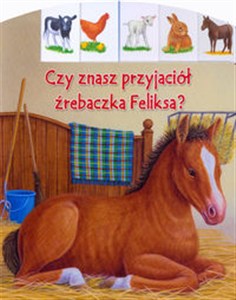 Picture of Czy znasz przyjaciół źrebaczka Feliksa?