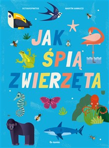 Obrazek Jak śpią zwierzęta