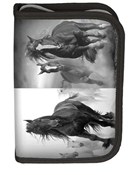 Polska książka : Piórnik sz...