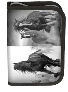 Obrazek Piórnik szkolny Paso Horse