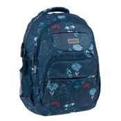 Plecak szk... -  Polish Bookstore 