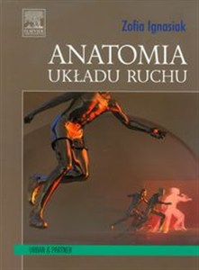Obrazek Anatomia układu ruchu