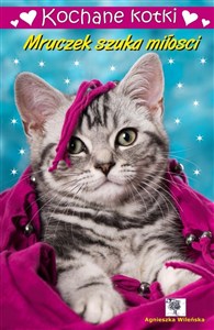 Obrazek Kochane kotki. Mruczek szuka miłości