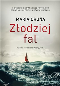 Obrazek Złodziej fal