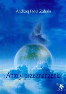 Obrazek Anioły przeznaczenia